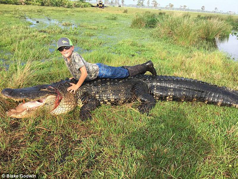 美國農場主射殺近5米長巨鱷 曾咬死牛【3】