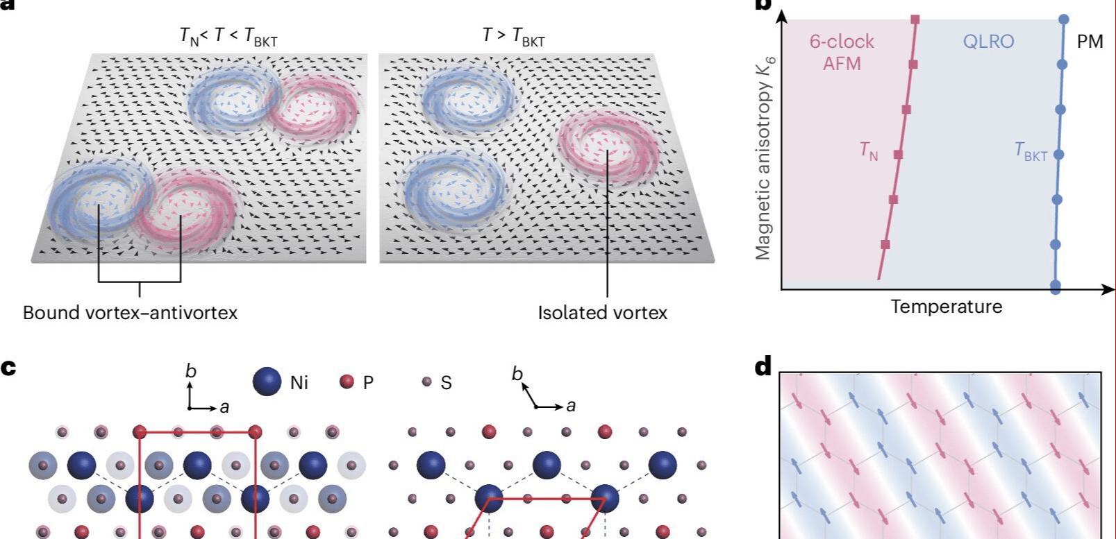 超薄二维材料中观测到两种罕见磁性状态