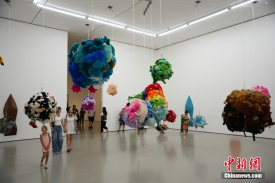 图为以毛绒玩具制作的装置艺术作品受到观众青睐。中新社记者 廖攀 摄