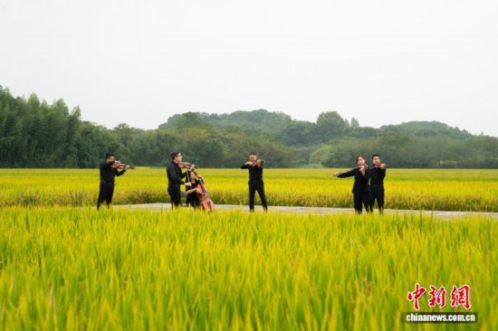 10月14日,费城交响乐团的成员们在杭州良渚古城遗址公园的池中寺粮仓演奏《梁祝》。中新社记者 吴君毅 摄