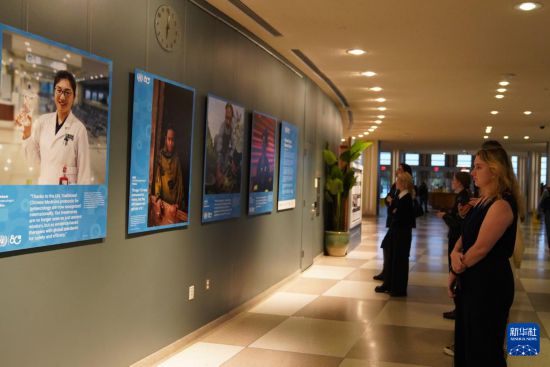 10月20日,在位于纽约的联合国总部,人们参观“共栖生命,共享未来”庆祝联合国成立80周年全球图片展。新华社记者 张凤国 摄