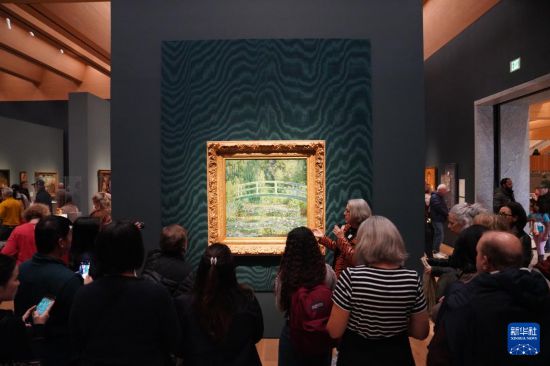 11月1日,在美国新泽西州,人们在普林斯顿大学艺术博物馆欣赏莫奈作品。新华社记者 张凤国 摄