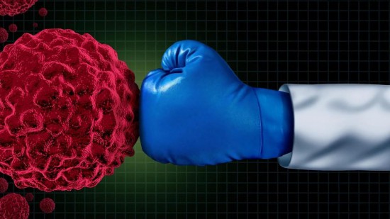 历时半世纪攻坚，轮枝霉素A终被人工合成。图片来源：美国《每日科学》网站